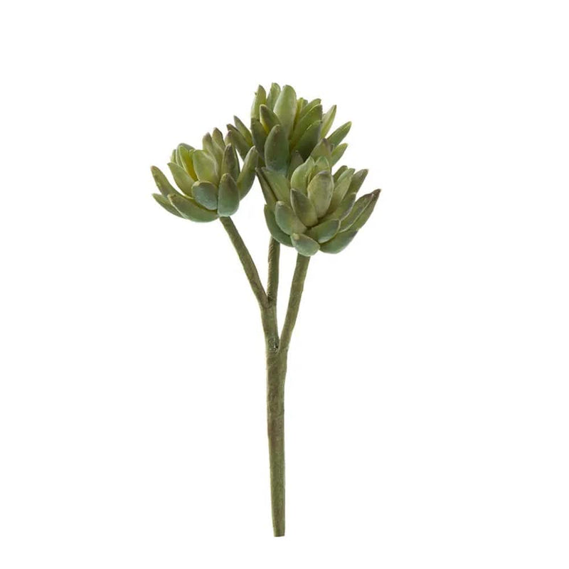 Florabelle Living Decor Agave Stem 20cm Green