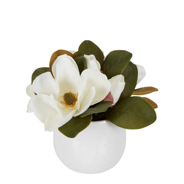 Florabelle Living Decor Magnolia in Ceramic Pot 28cm White