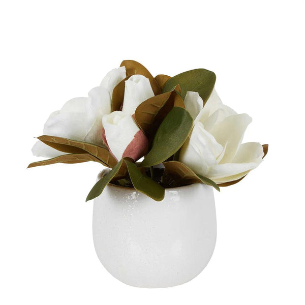 Florabelle Living Decor Magnolia in Ceramic Pot 28cm White